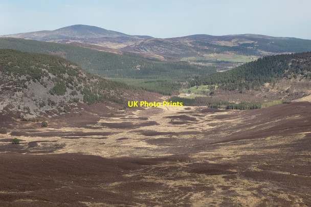 Photo 6"x4" Moorland around Bruntian Burn Sgor an h-Iolaire c2014