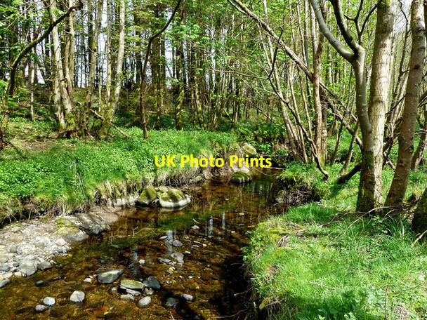 Photo 6"x4" Balsaggart Burn Crosshill\/NS3206 c2014
