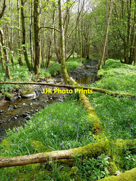 Photo 6"x4" Balsaggart Burn View Crosshill\/NS3206 c2014