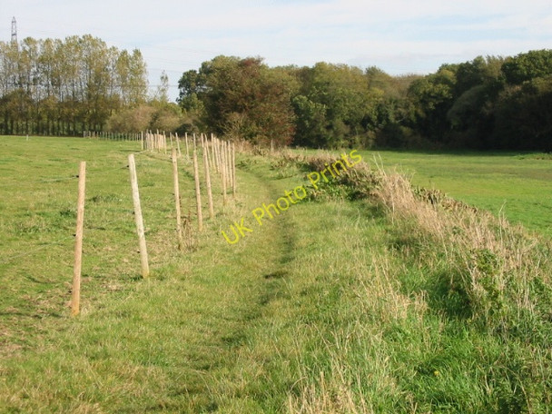 Photo 6"x4" Bridleway to Hay Lane Felderland c2008