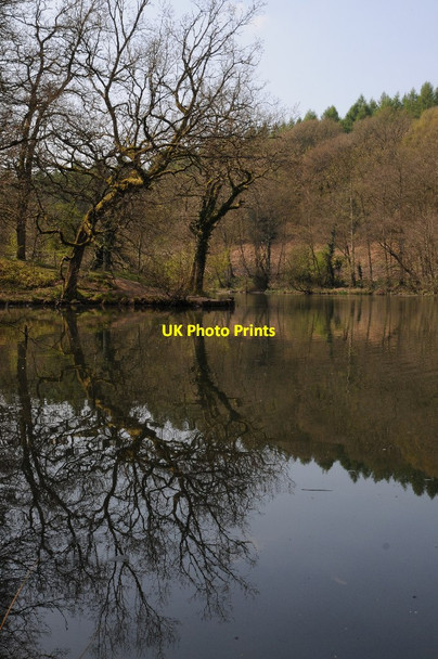 Photo 6"x4" Cannop Ponds Cannop c2014
