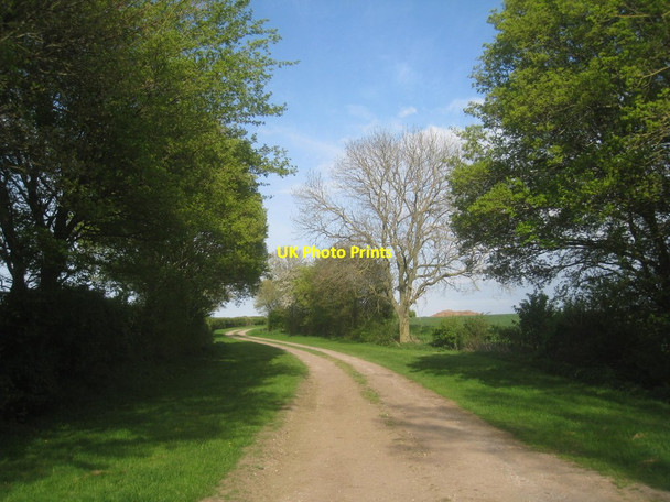 Photo 6"x4" Frinkley Lane Gelston\/SK9145 c2014