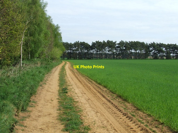 Photo 6"x4" Sandy Track Ramsholt c2014