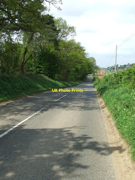 Photo 6"x4" Looking West Shottisham c2014