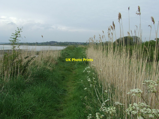 Photo 6"x4" Footpath Next To The River Deben Hemley c2014