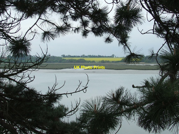 Photo 6"x4" Yellow Field Hemley c2014