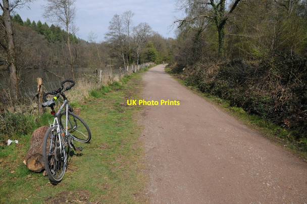 Photo 6"x4" Cycle track near Cannop Ponds Cannop c2014