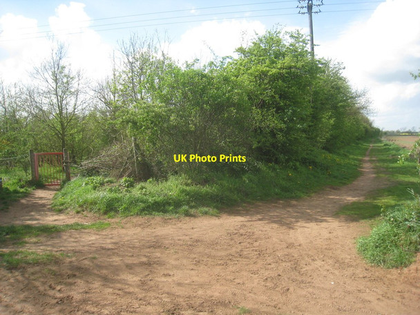 Photo 6"x4" Two possibilities Dunscroft\/SE6508 c2014