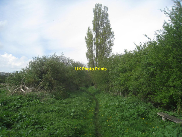 Photo 6"x4" Park Lane and bench Dunsville c2014