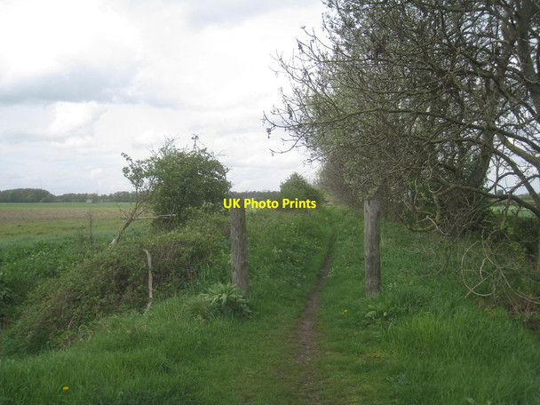 Photo 6"x4" Park Lane Dunsville c2014