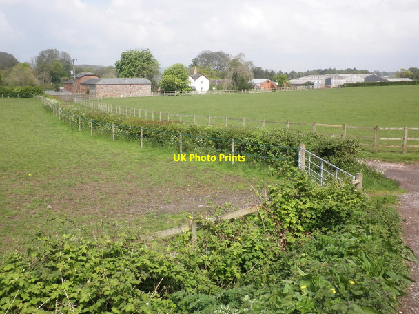 Photo 6"x4" Pontispool Farm Allerford\/ST1725 c2014