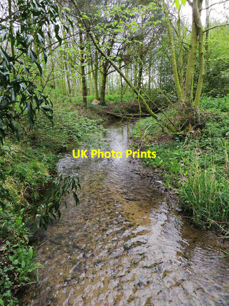 Photo 6"x4" Scorborough Beck Thorpe\/SE9946 c2014