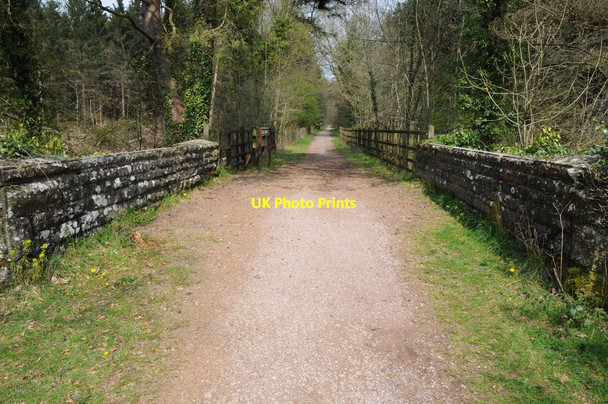 Photo 6"x4" Former railway Cannop c2014