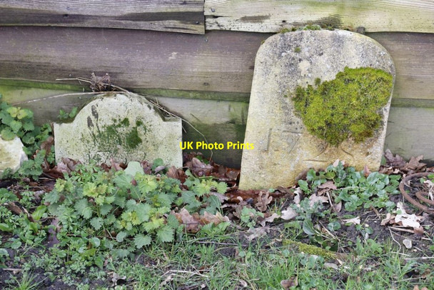 Photo 6"x4" Leaning by the shed Mortimer West End c2014