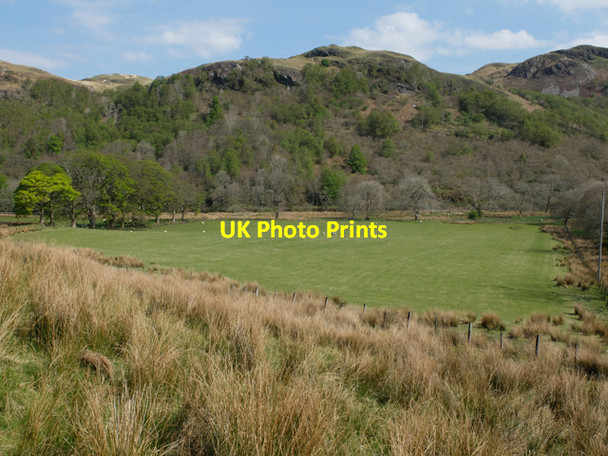Photo 6"x4" Grazings at the foot of Gleann Beag Eilanreach c2014