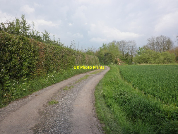 Photo 6"x4" Lane to Portman Farm East Lydeard c2014