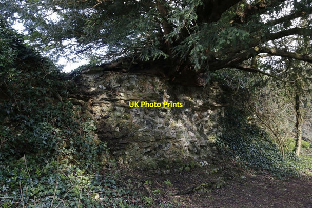 Photo 6"x4" Uncovered Wall Mortimer West End c2014