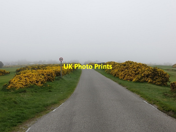 Photo 6"x4" Road, Chanonry Ness Fortrose c2014