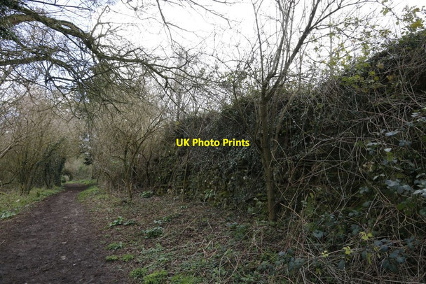 Photo 6"x4" Back along the Wall Mortimer West End c2014