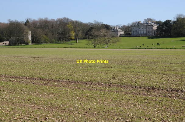 Photo 6"x4" Came House Dorchester\/SY6890 c2014