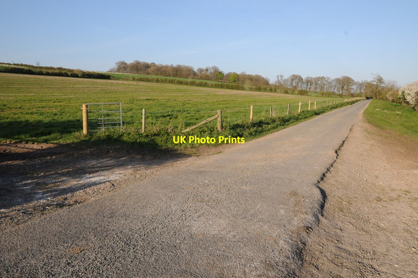 Photo 6"x4" Road near Winterborne Herringston Dorchester\/SY6890 c2014