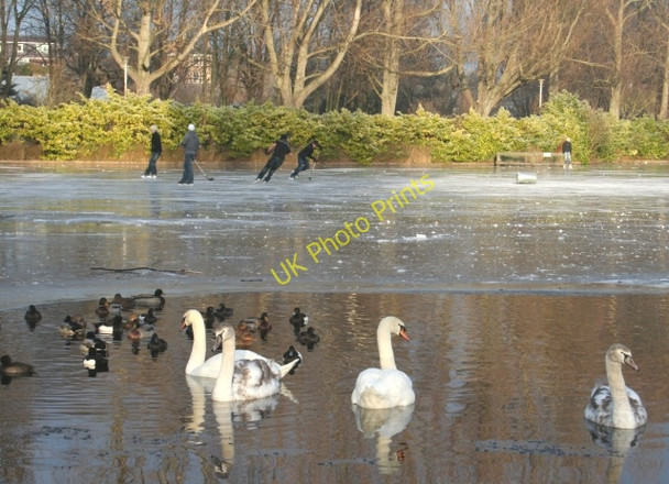 Photo 6"x4" Cooper Park Pond Elgin c2008