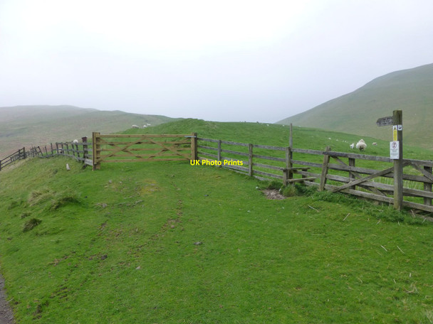 Photo 6"x4" Public bridleway Barrow Burn\/NT8610 c2014