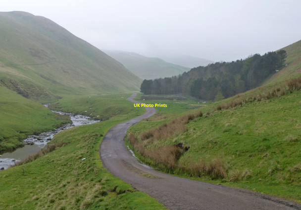 Photo 6"x4" Sheep pens by the woods Barrow Burn\/NT8610 c2014