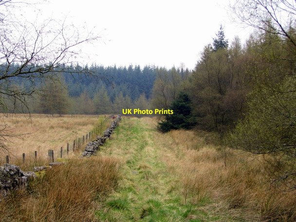 Photo 6"x4" Pennine Way near Ladyhill Stonehaugh c2014