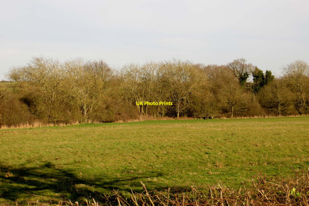 Photo 6"x4" Field by the railway Worton\/SP4611 c2014