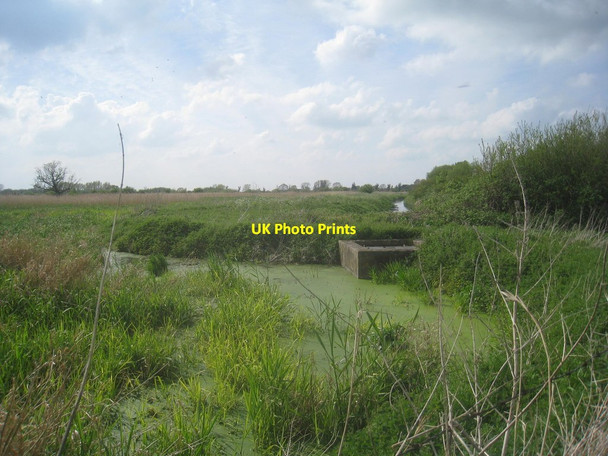 Photo 6"x4" Marston Sewage Farm Marston\/SK8943 c2014