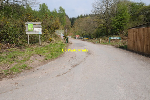 Photo 6"x4" Entrance to a timber yard Parkend\/SO6108 c2014