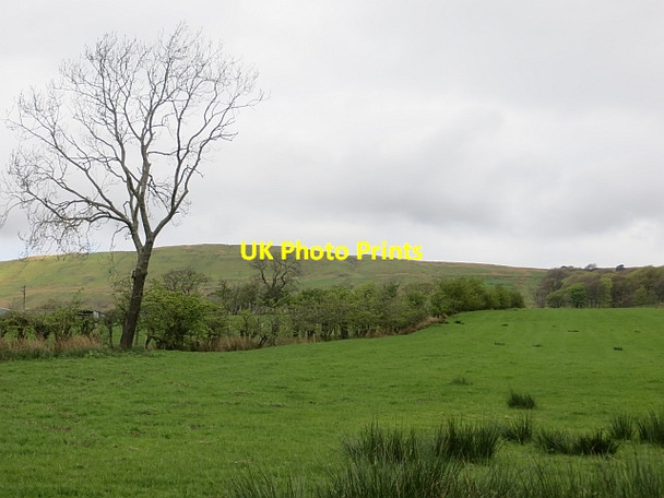 Photo 6"x4" Field, Cairnbog Queenzieburn c2014