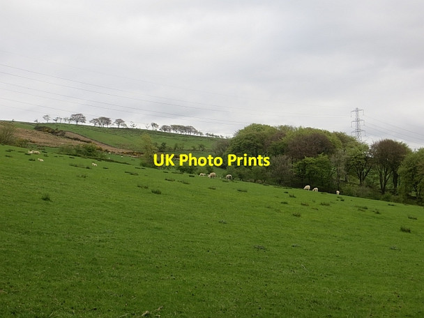 Photo 6"x4" Fields, Balcastle Kilsyth c2014