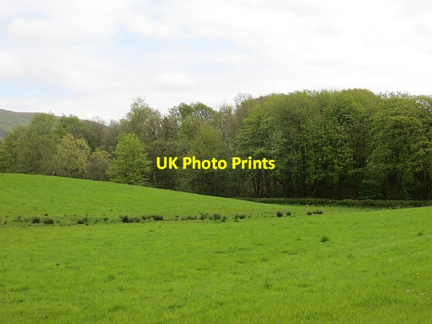 Photo 6"x4" Field off Campsie Road Milton of Campsie c2014