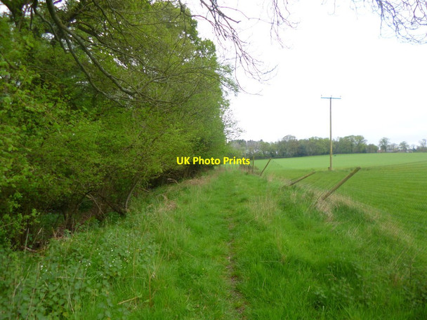 Photo 6"x4" Hamptworth, footpath Hamptworth c2014
