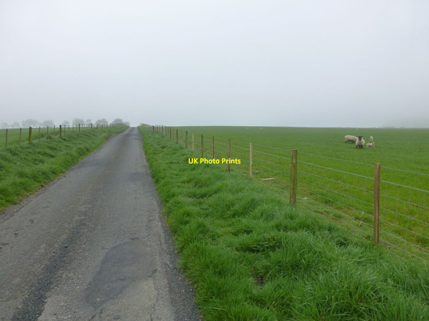 Photo 6"x4" The road to Low Farnham Holystone c2014