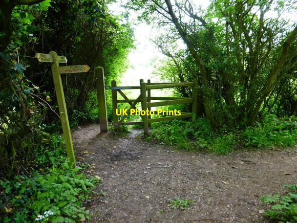 Photo 6"x4" Footpath junction south of Hill Lane Saxby\/SU9603 c2014