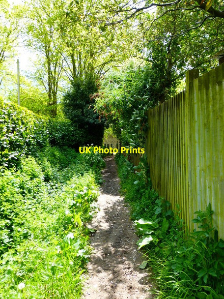 Photo 6"x4" Twitten in Yapton Burndell c2014