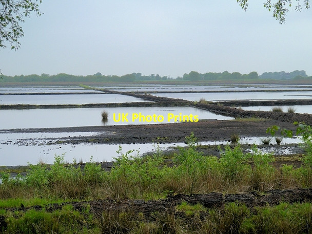 Photo 6"x4" Chat Moss - Peat Marshes Irlam c2014
