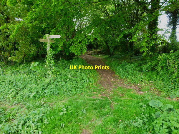 Photo 6"x4" Footpath junction between Ford and Yapton Ford\/SU9903 c2014