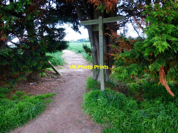 Photo 6"x4" Footpath to Yapton from junction Burndell c2014