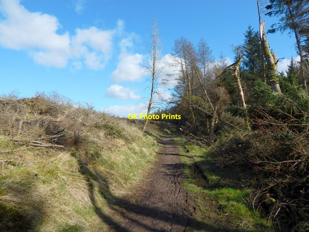 Photo 6"x4" The Stoneymollan Road Arden\/NS3684 c2014