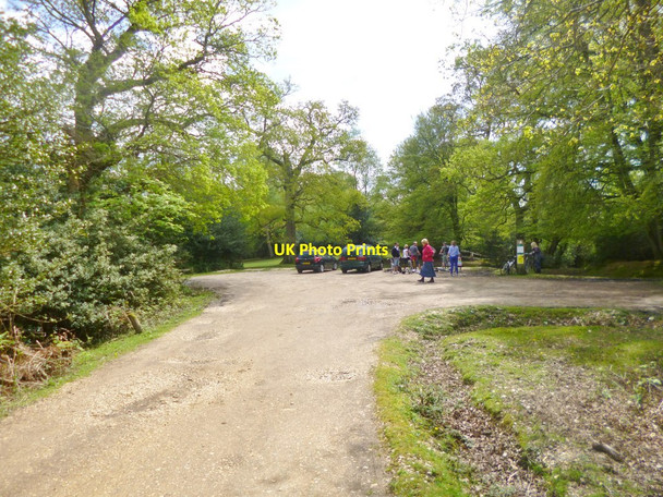 Photo 6"x4" Bramshaw Wood Car Park Nomansland\/SU2517 c2014