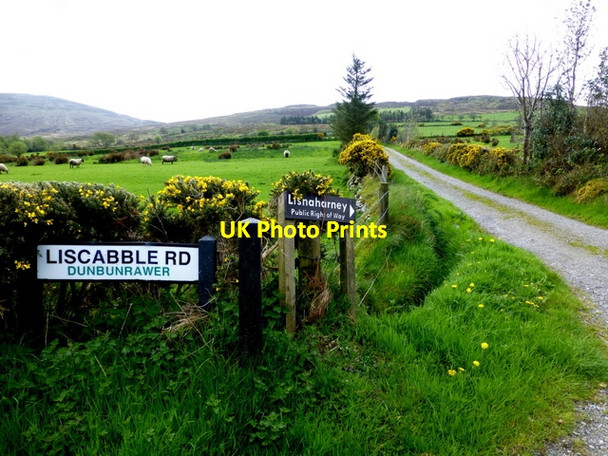 Photo 6"x4" Lisnaharney Walk, Dunbunrawer Gortin c2014