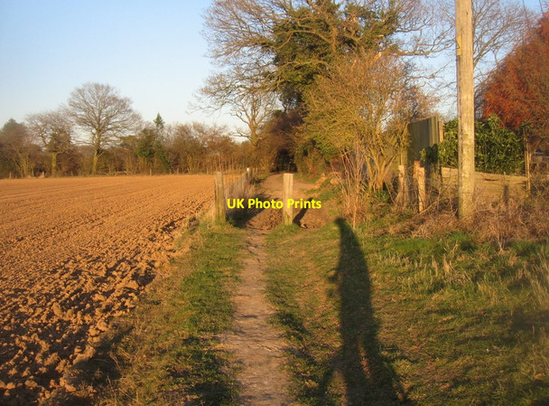 Photo 6"x4" Low light, early evening Pardown c2014