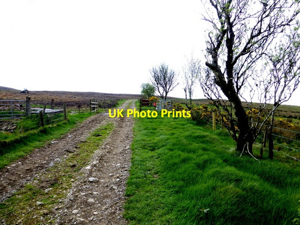 Photo 6"x4" Onwards and upwards, Dunbunrawer Gortin c2014