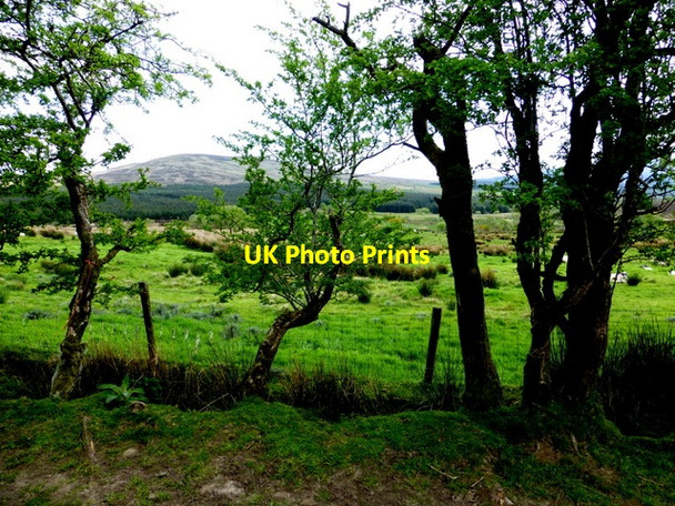 Photo 6"x4" Eskeradooey Townland Gortin c2014