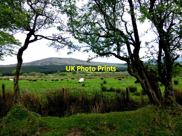 Photo 6"x4" Eskeradooey Townland Gortin c2014 P1