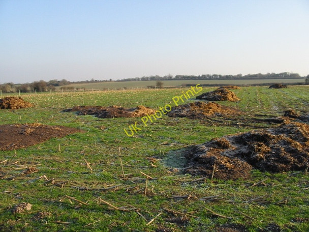 Photo 6"x4" Looking east from bridleway Adisham c2008